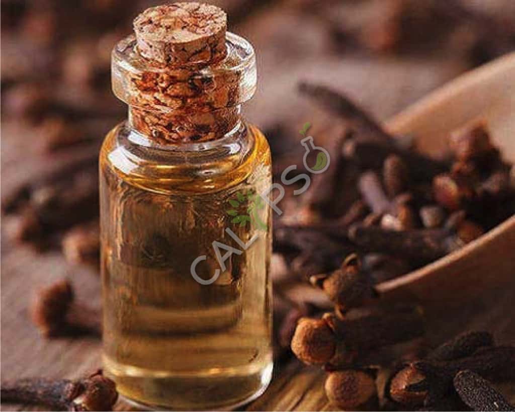 Clove Bud Oil Near Me